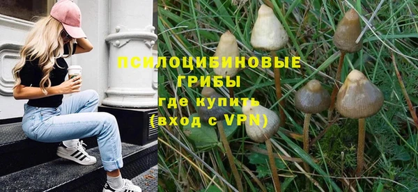 стаф Богородицк