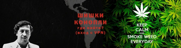 стаф Богородицк
